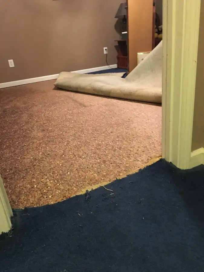 Carpet pad removal revealing water damage during Drying & Dehumidification in Shawangunk